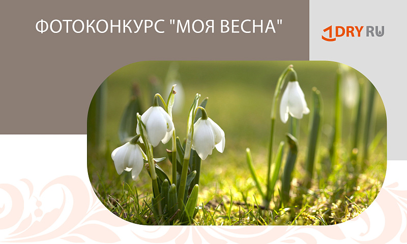 Фотоконкурс "Моя весна"